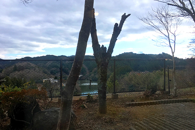 亀山湖 湖水亭 嵯峨和