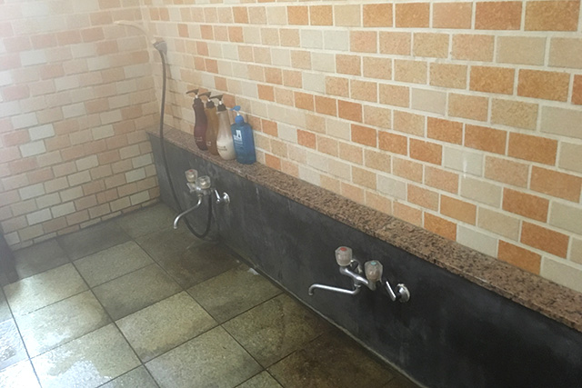 亀山湖 湖水亭 嵯峨和