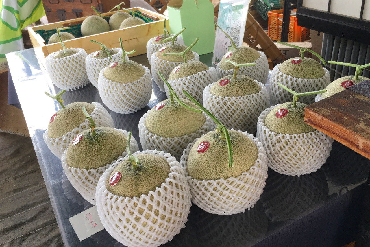 千葉市ちはる農園の数量限定メロンが大きくてジューシーで美味しい!値段や買える時期を徹底調査