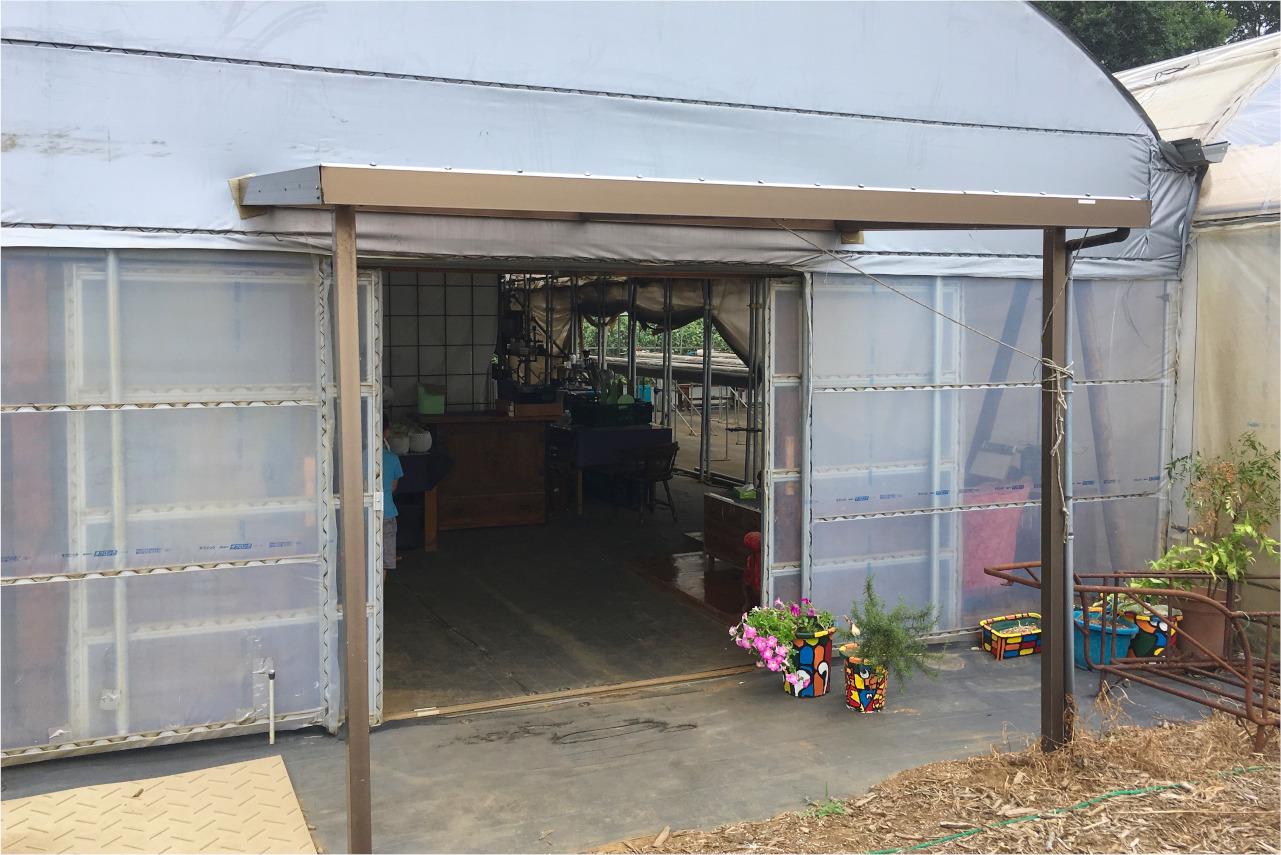 千葉市ちはる農園の数量限定メロンが大きくてジューシーで美味しい!値段や買える時期を徹底調査