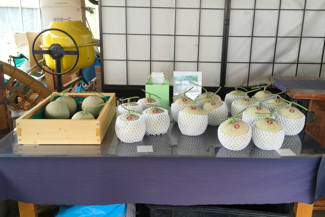千葉市ちはる農園の数量限定メロンが大きくてジューシーで美味しい!値段や買える時期を徹底調査