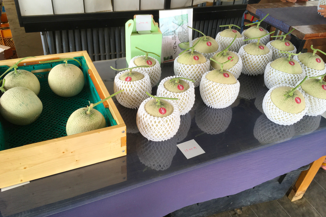 千葉市ちはる農園の数量限定メロンが大きくてジューシーで美味しい!値段や買える時期を徹底調査
