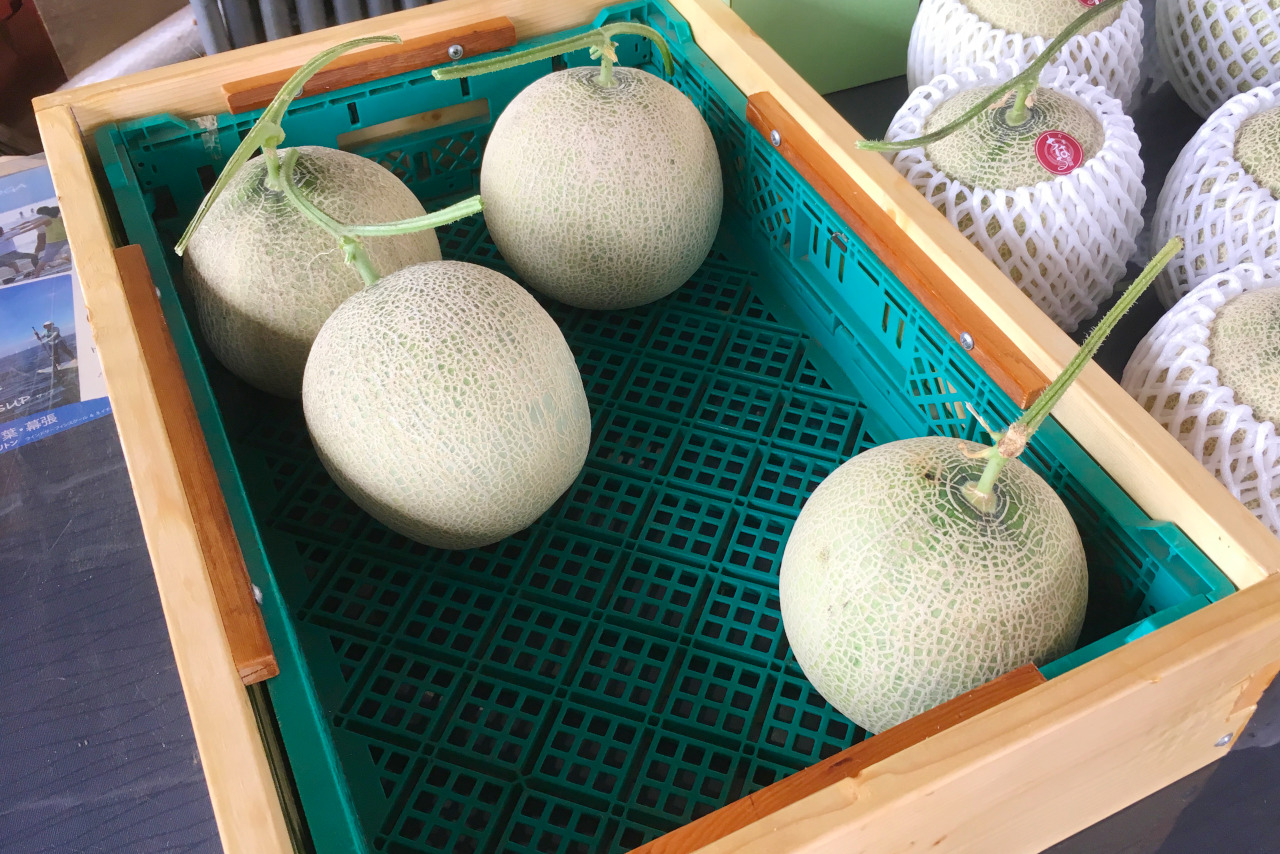 千葉市ちはる農園の数量限定メロンが大きくてジューシーで美味しい!値段や買える時期を徹底調査