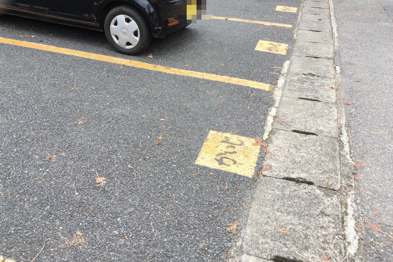 千葉市中央区 海鮮食堂かいじの日替わりスズキ鮪刺身＆サバ塩焼き定食が新鮮な魚たっぷりで旨すぎる