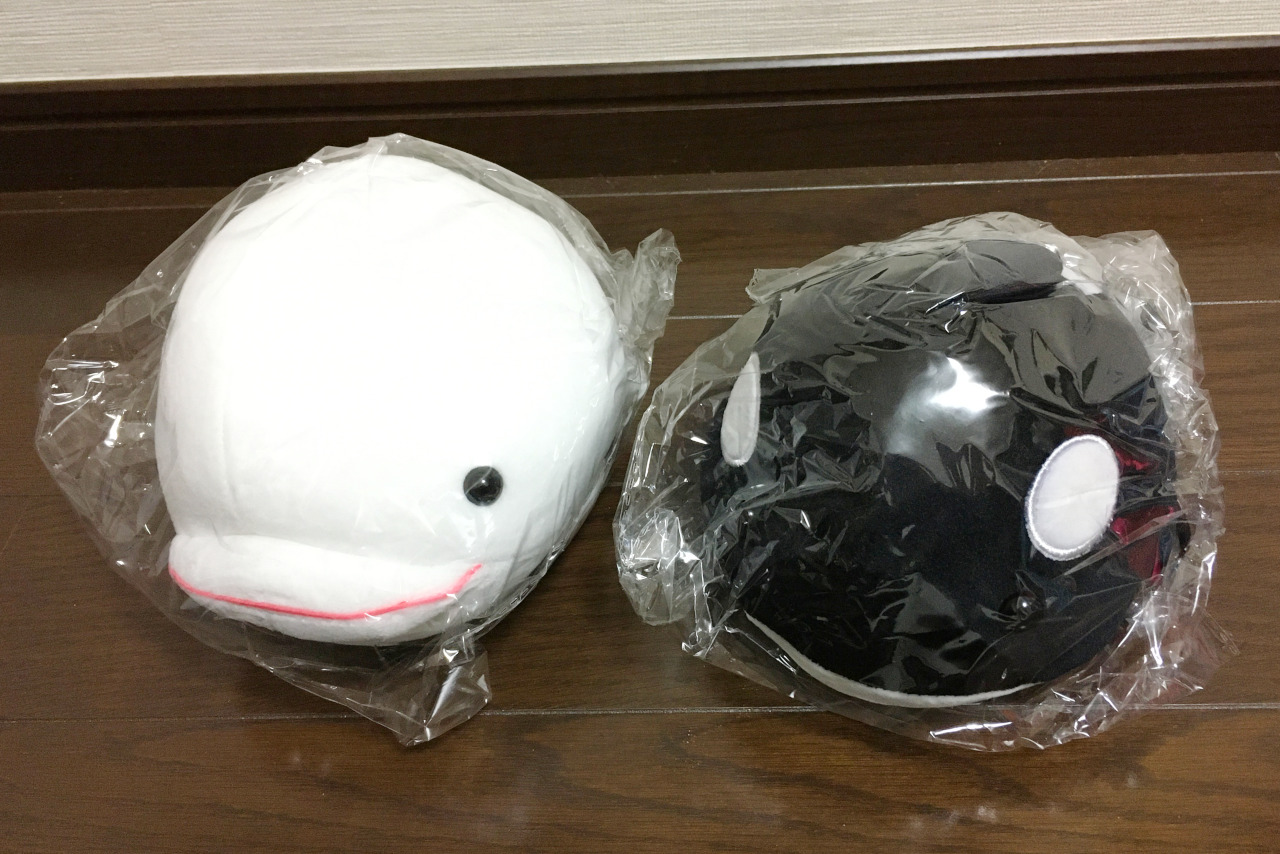 2020年鴨川シーワールド福袋(3000円)の中身が1万円分入っててお得感満載すぎた！