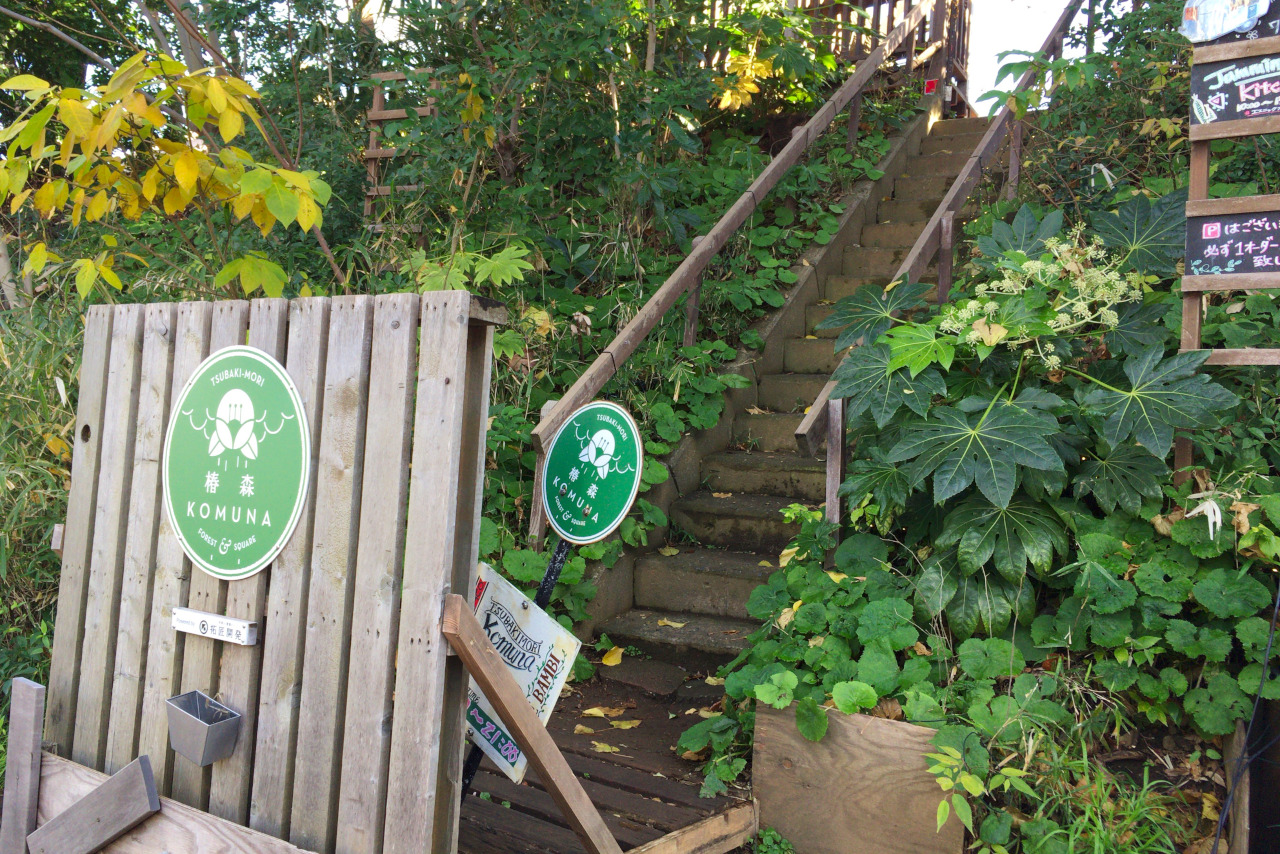 椿森コムナはテント利用で冬でもあったか！アウトドア体験のできるキャンプ場のようなカフェスペース