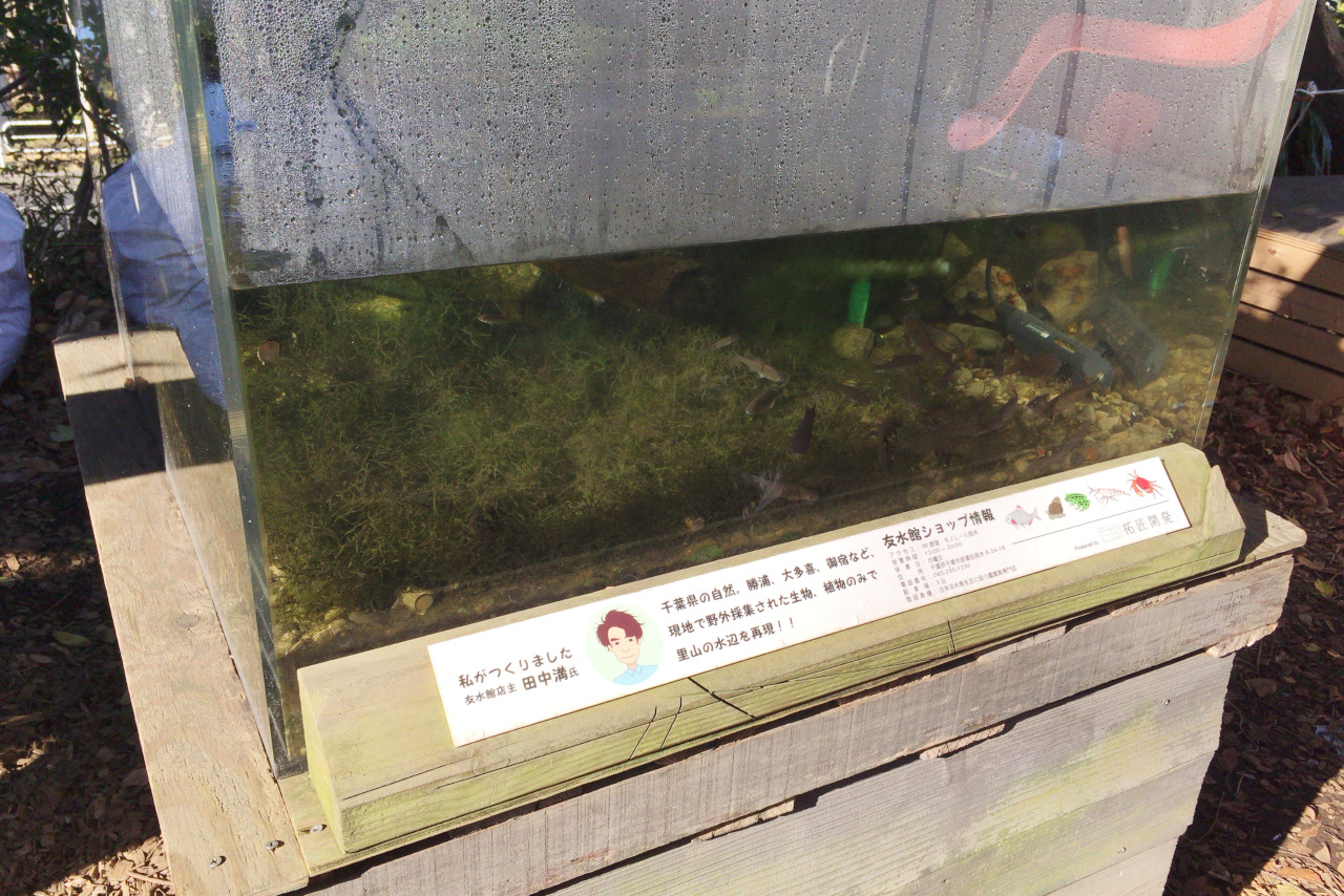 椿森コムナはテント利用で冬でもあったか！アウトドア体験のできるキャンプ場のようなカフェスペース