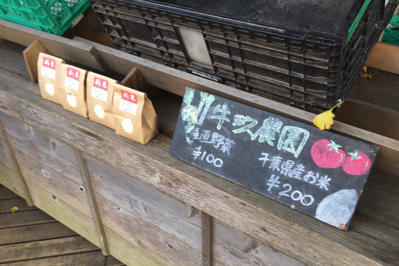 椿森コムナはテント利用で冬でもあったか！アウトドア体験のできるキャンプ場のようなカフェスペース