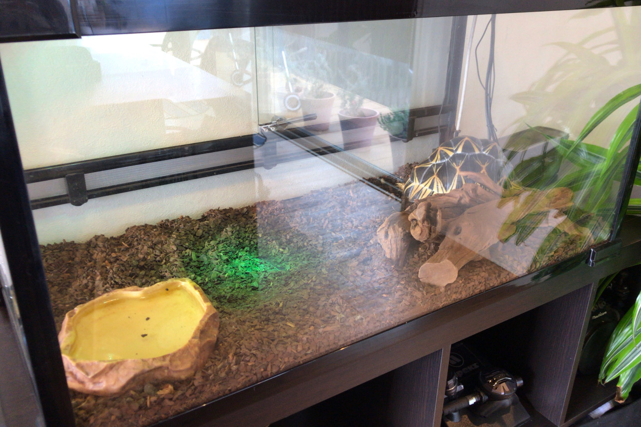 四街道の87cafeはダッチベイビーと本格コーヒーがとにかく激ウマ！カフェ兼ダイビングスクールの不思議な空間はオシャレすぎてもはや四街道とは思えない