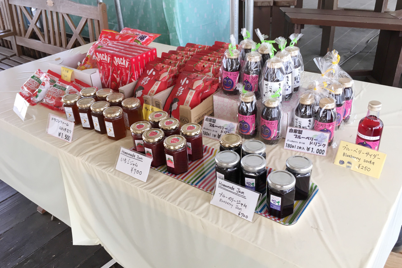 ドラゴンファームのイチゴ狩りに1歳子連れで行ってきた！予約と先着順どっちがいいの？