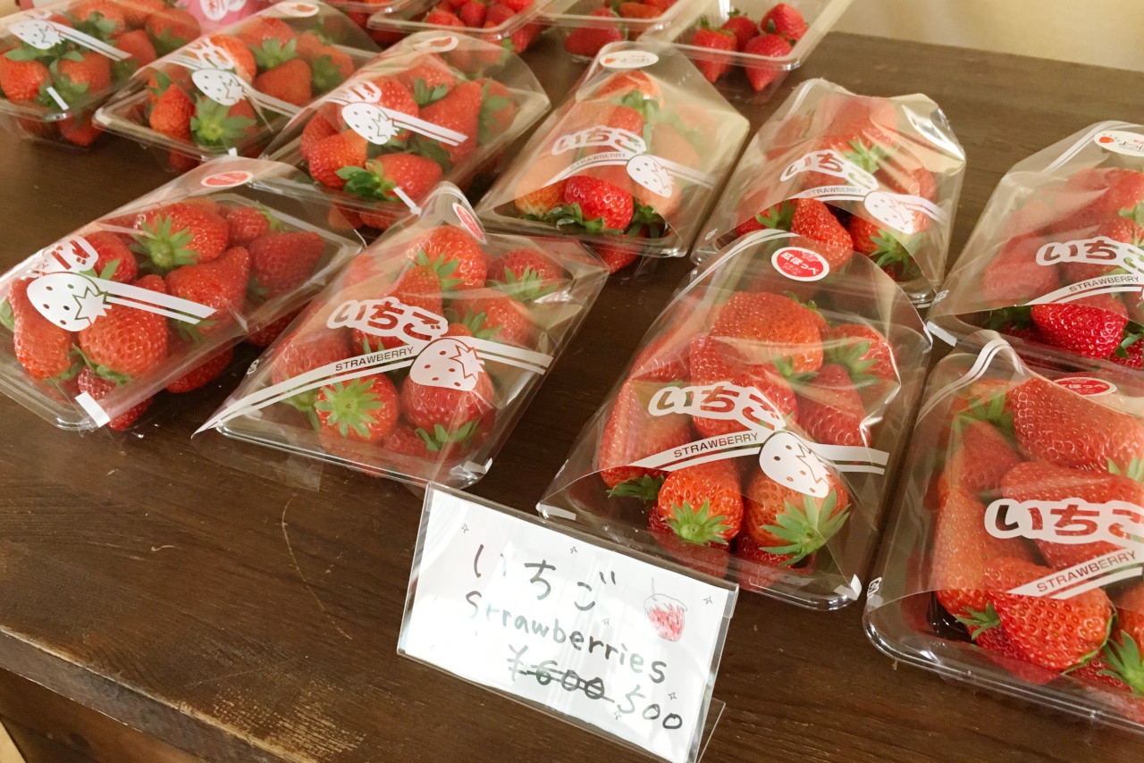 ドラゴンファームのイチゴ狩りに1歳子連れで行ってきた！予約と先着順どっちがいいの？