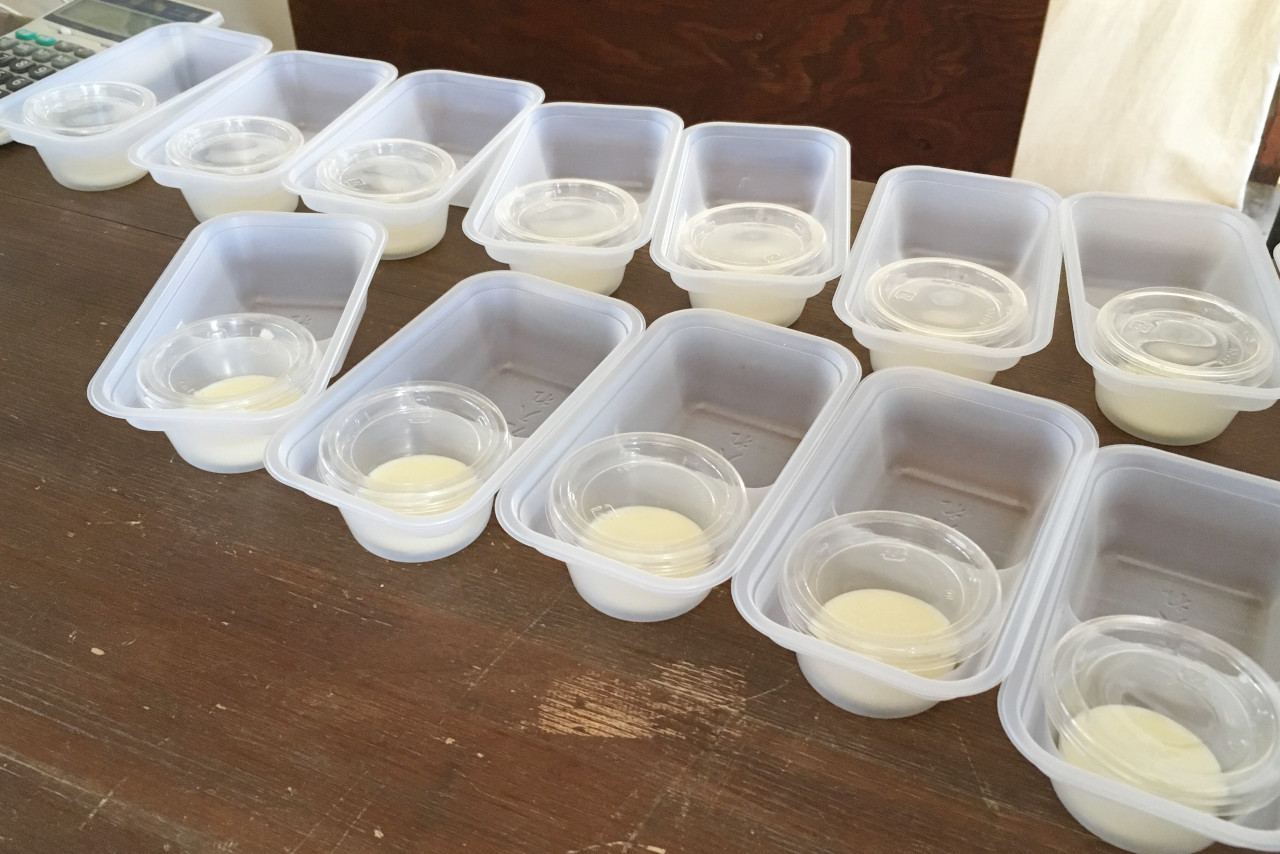 ドラゴンファームのイチゴ狩りに1歳子連れで行ってきた！予約と先着順どっちがいいの？