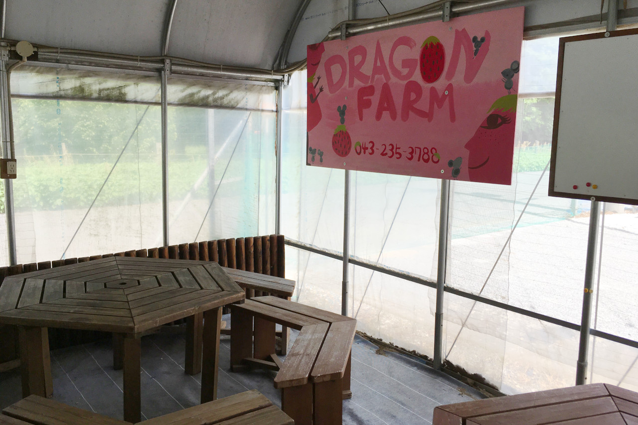 ドラゴンファームのイチゴ狩りに1歳子連れで行ってきた！予約と先着順どっちがいいの？