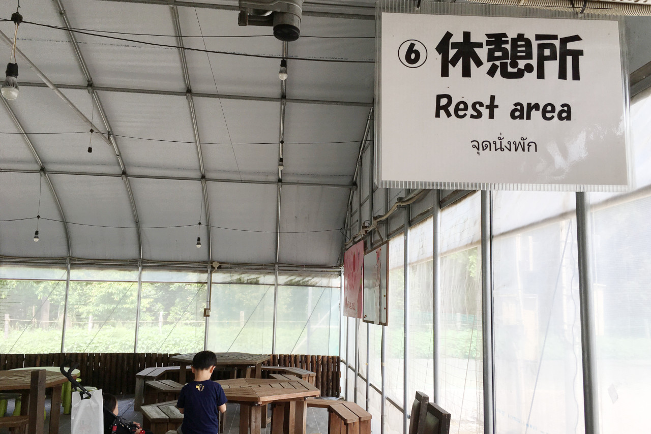 ドラゴンファームのイチゴ狩りに1歳子連れで行ってきた！予約と先着順どっちがいいの？