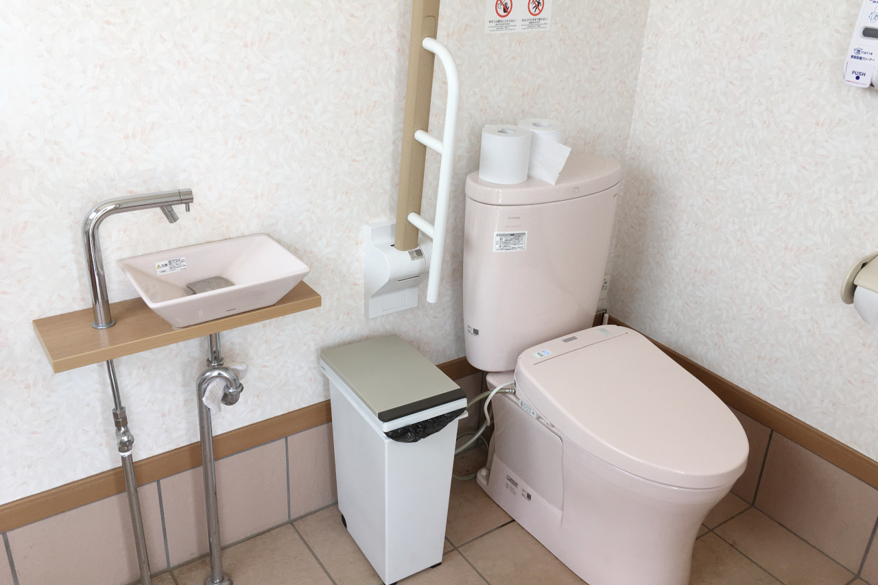 ドラゴンファームのイチゴ狩りに1歳子連れで行ってきた！予約と先着順どっちがいいの？