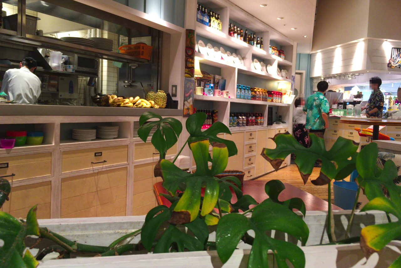 イオンモール幕張新都心のハワイアンカフェ ハレノヘアは絶対穴場!本格的でスパイシーなチキンカツ焙煎カレーとケイジャンチキンワッフルプラターが激ウマなんだ