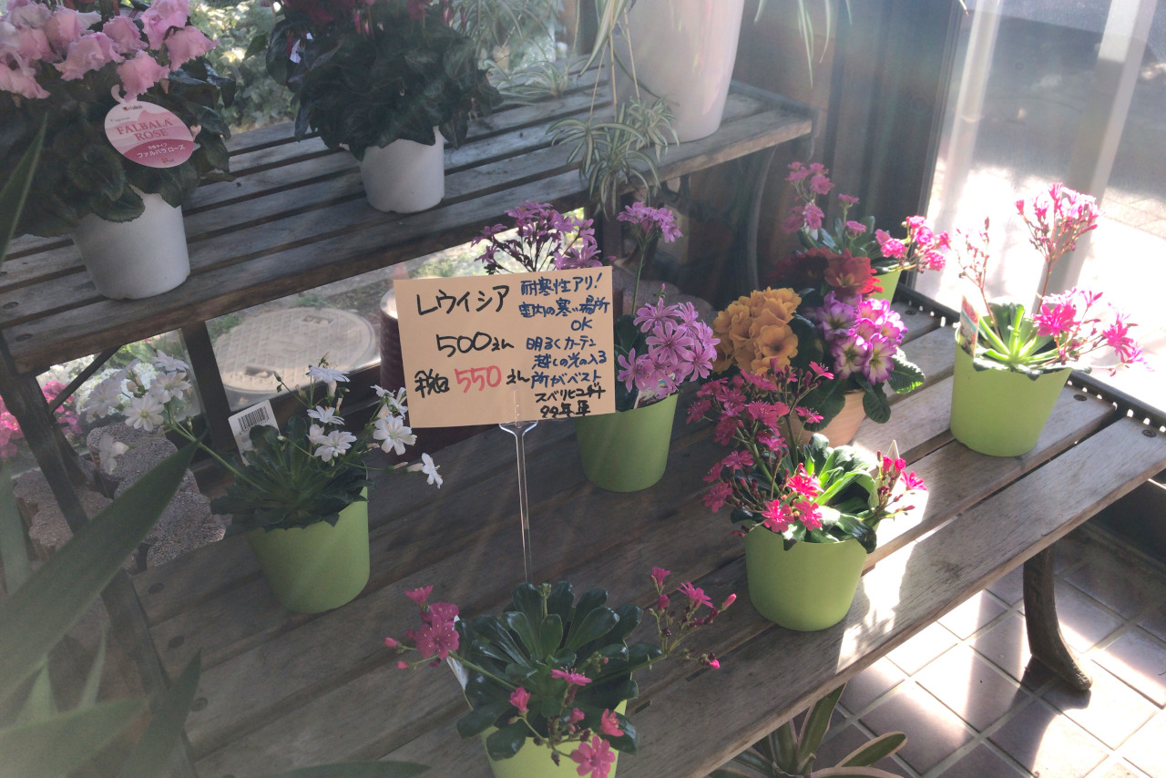 四街道の花屋さんフラワーショップむさしの アレンジメントはフルオーダーでクオリティも高い仕上がり