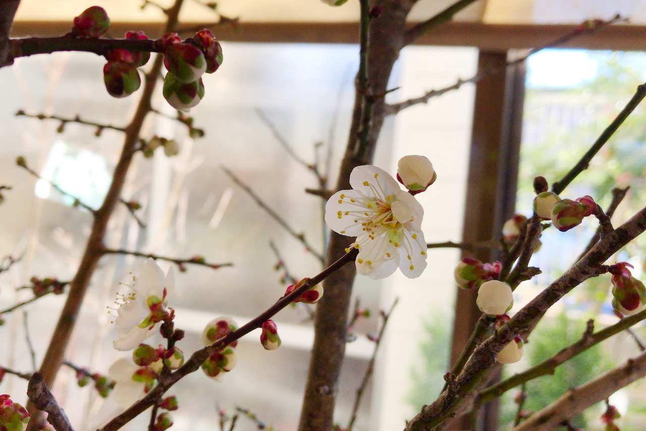 四街道の花屋さんフラワーショップむさしの アレンジメントはフルオーダーでクオリティも高い仕上がり