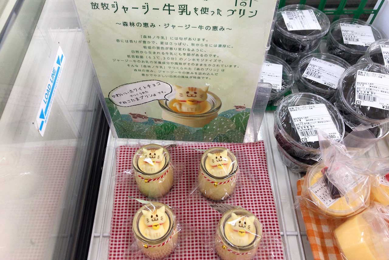 四街道IZUMINOの看板商品ねこたまプリンがしょいか〜ごで買える!可愛いだけじゃない素朴で味わい深いハイレベルプリン