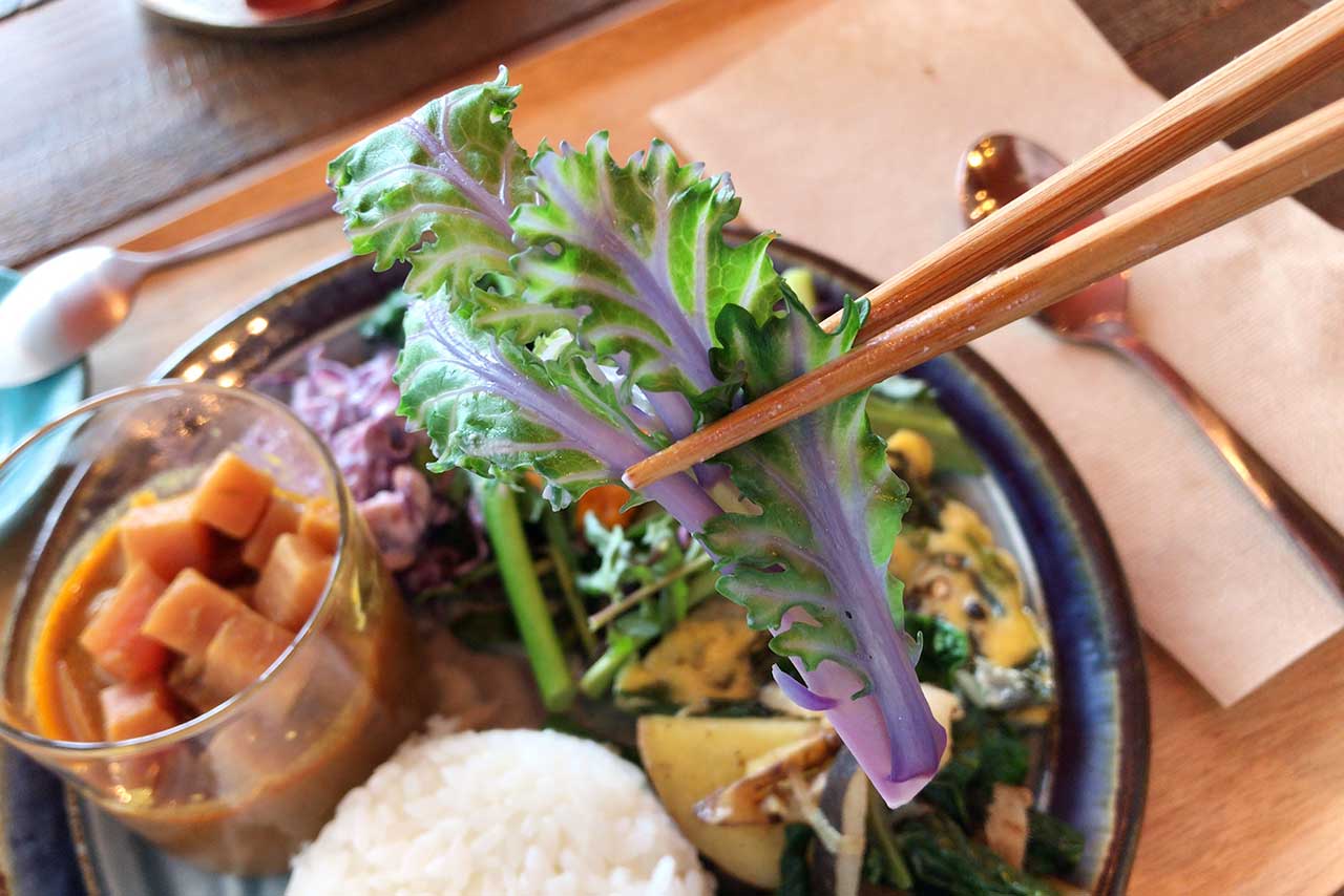 小倉台のキレドベジタブルアトリエでたっぷり野菜に溺れる ランチプレートは見た目も香りも食感も味わいも…五感が大喜びだぞ