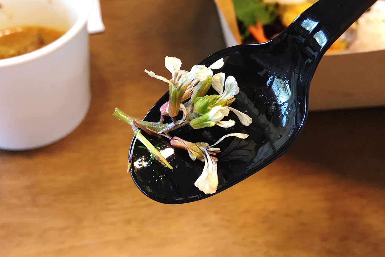 小倉台キレドベジタブルアトリエで野菜たっぷりランチボックスをテイクアウト!色鮮やかで超健康的なお弁当は定期的に食べるべし!