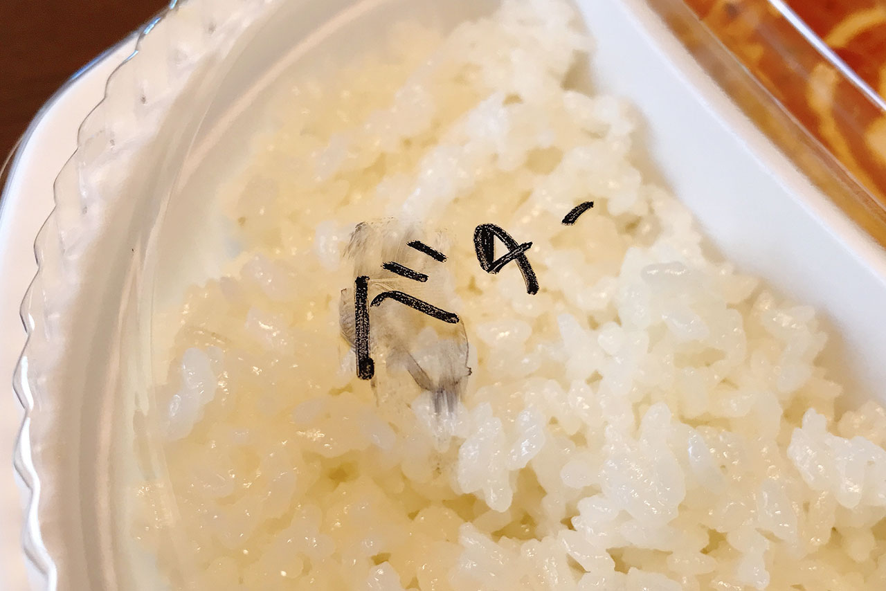 山王町のサジロダイニング&バーではテイクアウトお弁当がお手頃価格で販売中！本格的なスパイスカレーはご飯も進む美味しさ