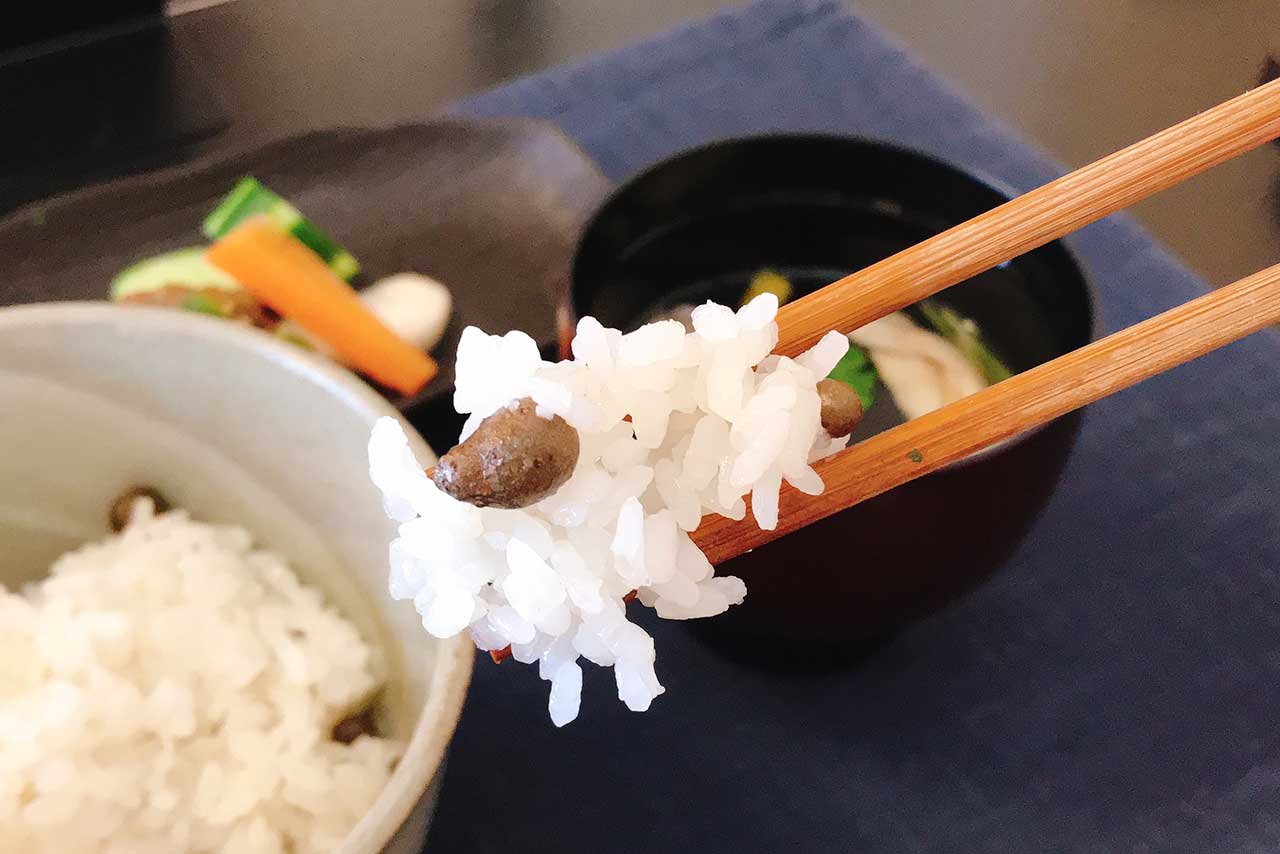 みつわ台のやさい家たなかは隠れ家すぎる名店!完全予約制も納得のお野菜たっぷり大人のランチコースに大満足