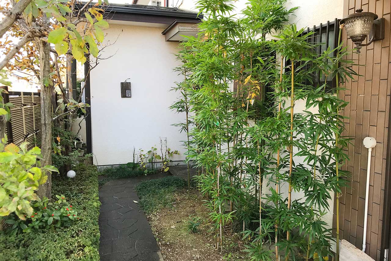 みつわ台のやさい家たなかは隠れ家すぎる名店!完全予約制も納得のお野菜たっぷり大人のランチコースに大満足