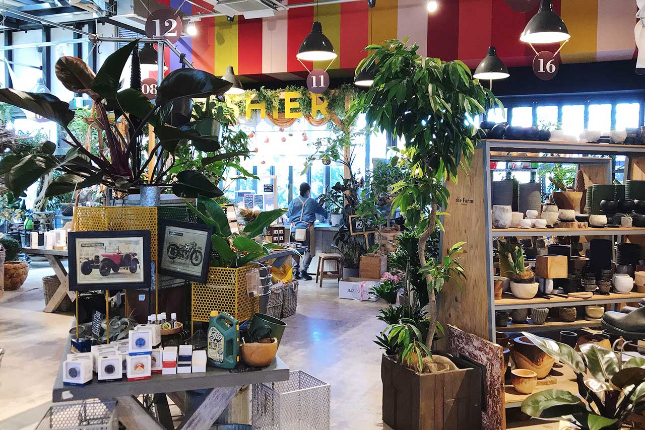 フレスポ稲毛のファーマーズキッチン まるで外みたいな緑溢れる癒しカフェで野菜たっぷりカレーを堪能