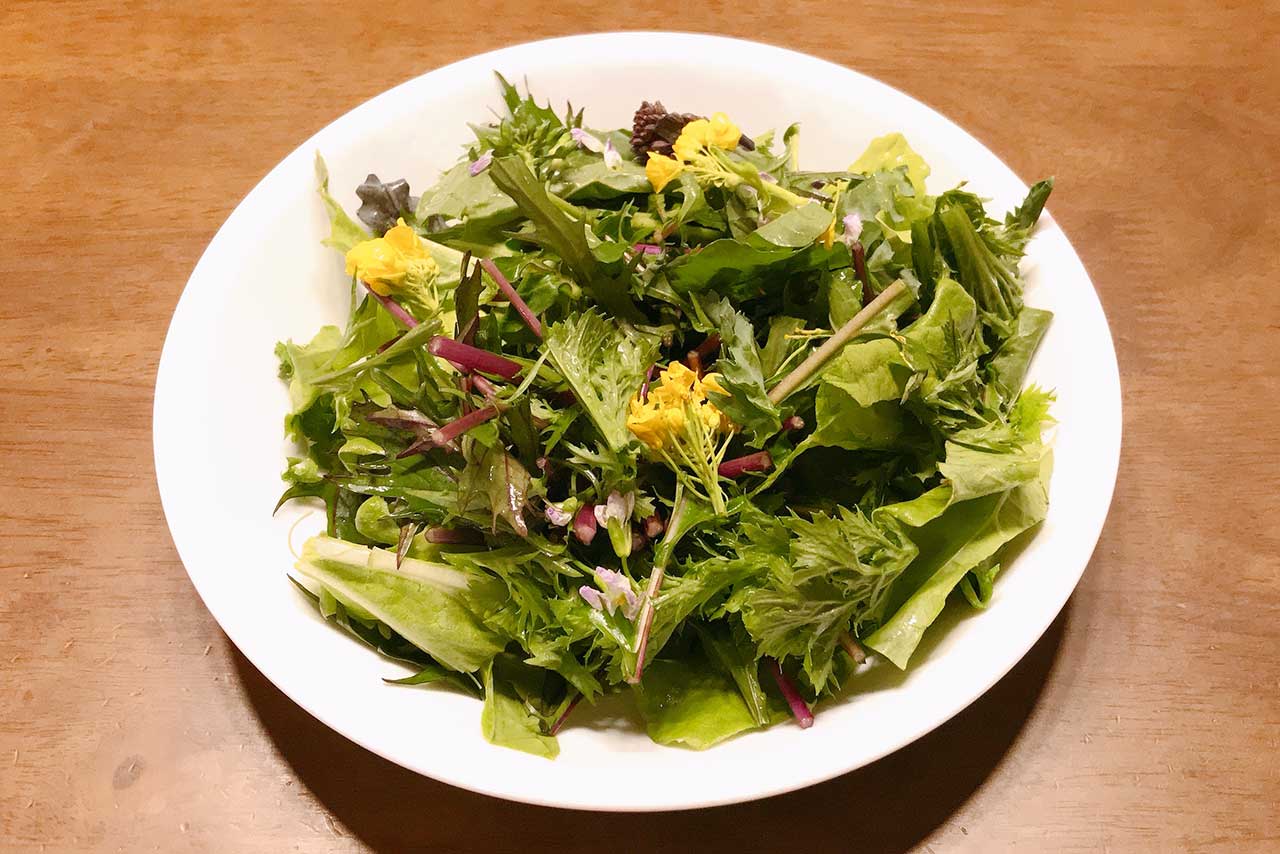 ユーカリイオンに新オープンした葉せん-hasen-に行ってきた！焼き上がり時間と混雑状況、そして気になる食パンはどんな感じ！？