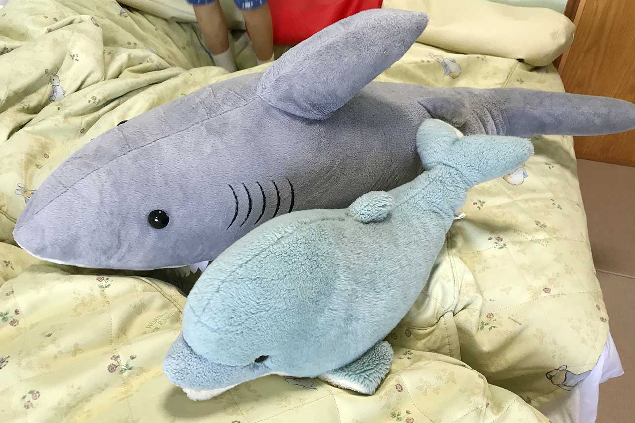 ホテルグリーンプラザ鴨川のキッズルームが子連れ大満足！磯遊びにプールに漫画読み放題までw